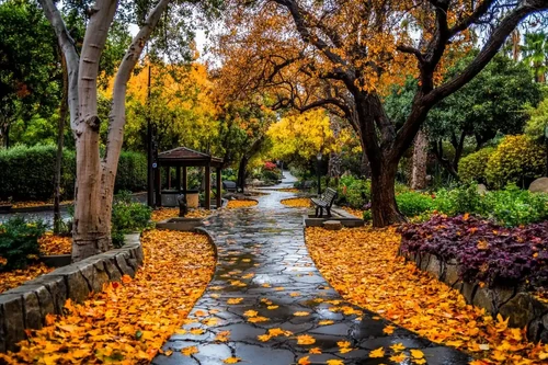 Best Spots for Fall Photography in Cypress
