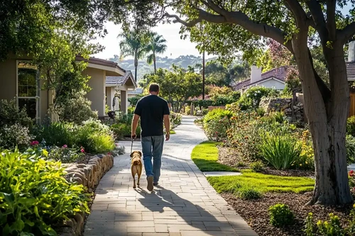 Tips for a Smooth Move to Poway with Pets